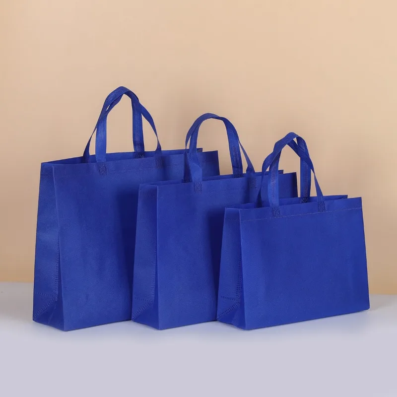 Reusable Shopping Bags For Wom - Women Bags For Eid ulasan dan harga